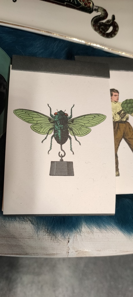 Taonlourdo Notepad - Ganzaï