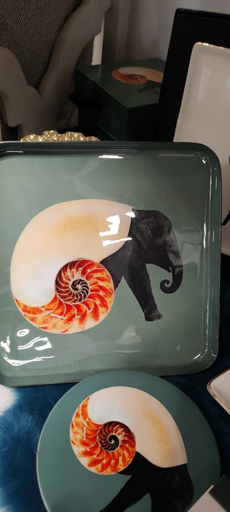 Shellephant - Petit plateau - Ganzaï